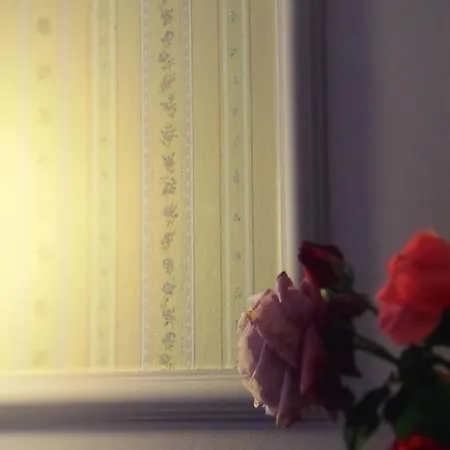 Kavos Psarou & Psarou (Zakynthos)