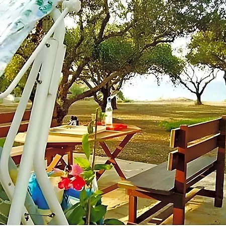 Daire Kavos Psarou & Psarou (Zakynthos)